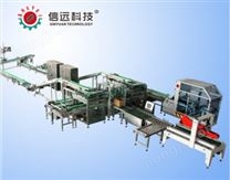 水溶肥自动喷码、装箱、码垛设备